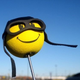 Illustration for article titled Antenna Topper or Shorty Antenna?